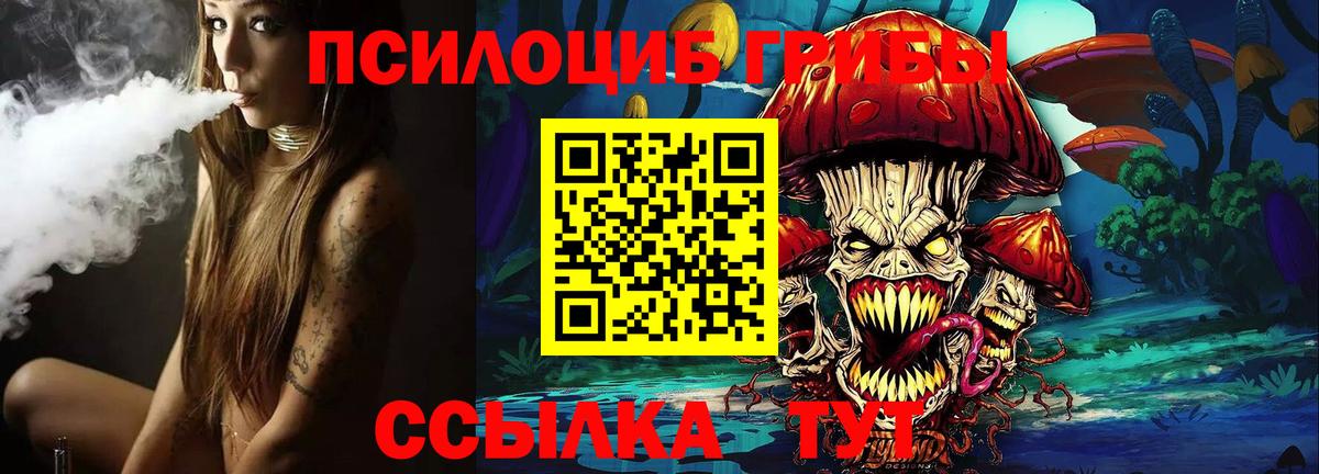 Галлюциногенные грибы Psilocybine cubensis  Вход с VPN  Балтийск 